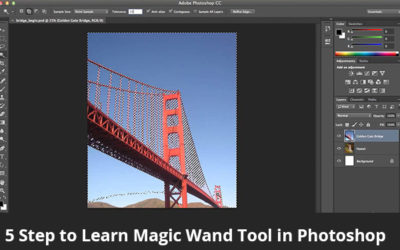 5 Step to Learn Magic Wand Tool in Photoshop