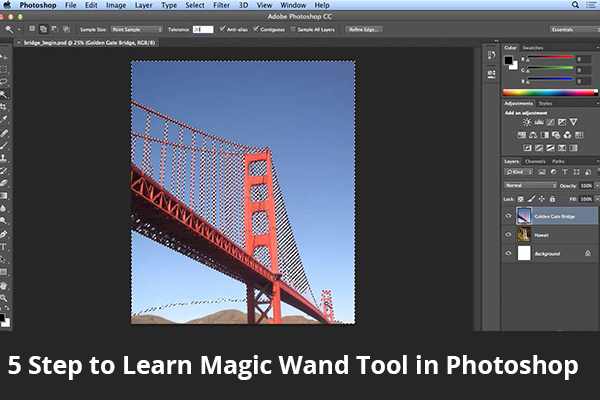 5 Step to Learn Magic Wand Tool in Photoshop