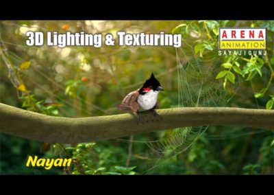 Lighting and Texturing-Nayan